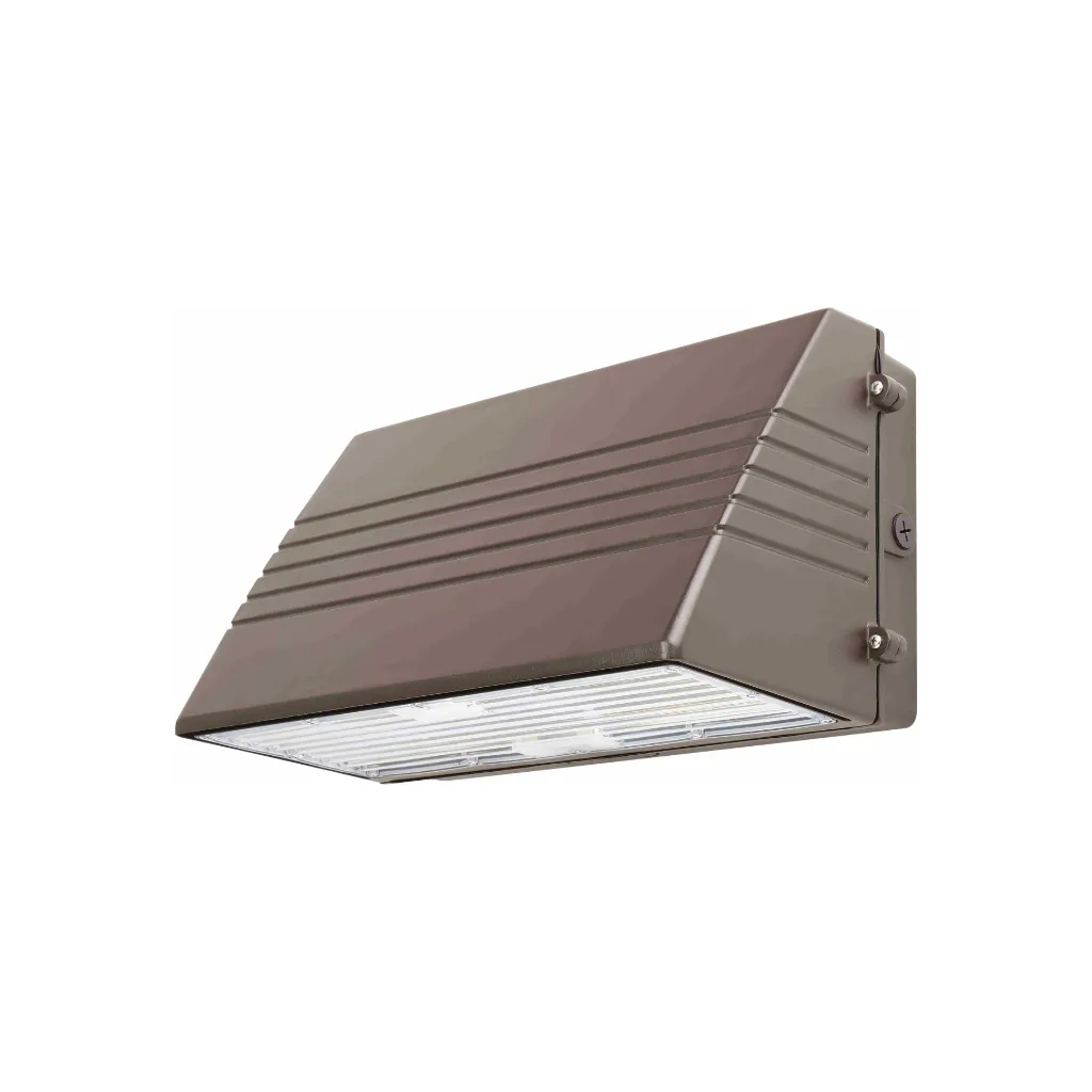 wall-pack_2-angle-view-large.webp