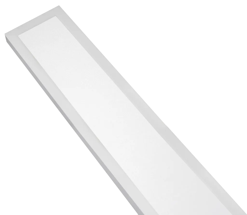 LR44_R.webp