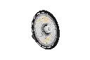 7.webp