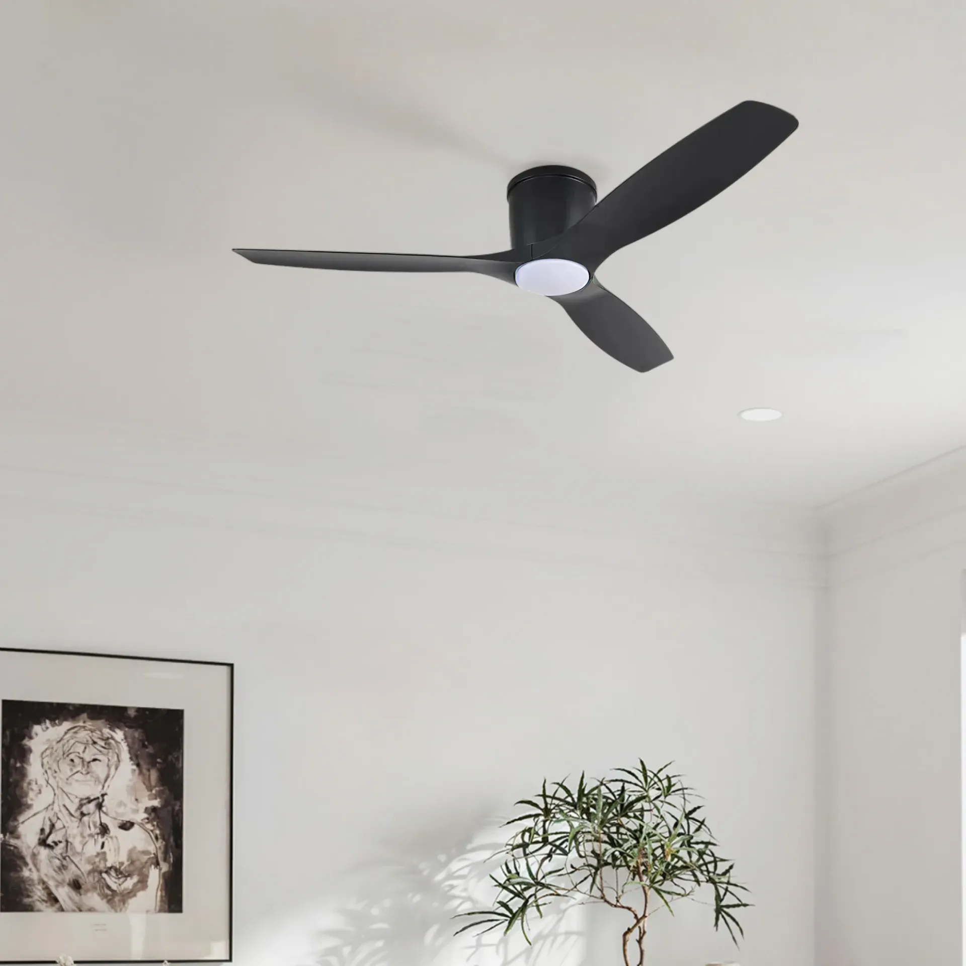 Brisa 52 in Ceiling Fan