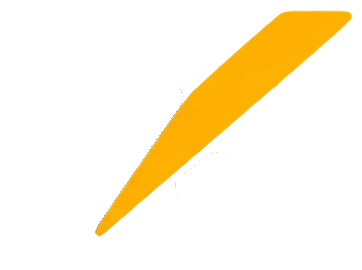 Paraflex